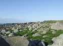Rocks Everwhere